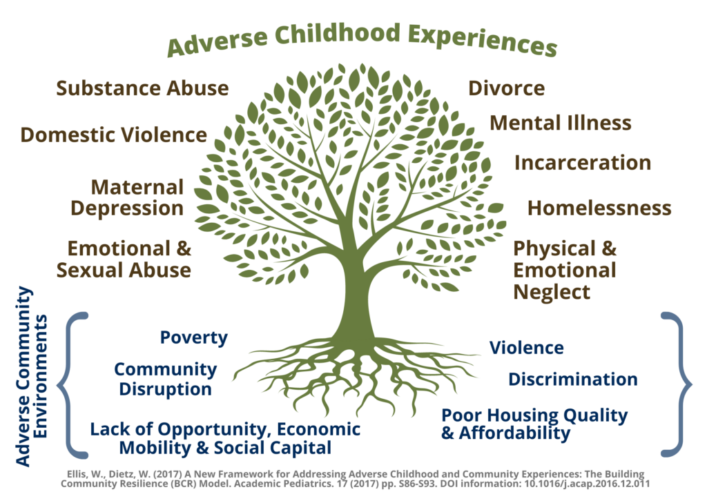 Graphic for Adverse Childhood Experiences with a green tree in the center. Around the tree are the words: Substance abuse, domestic violence, maternal depression, emotional and sexual abuse, divorce, mental illness, homelessness and physical and emotional neglect.