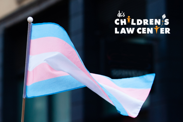 Trans pride flag waving in the wind.