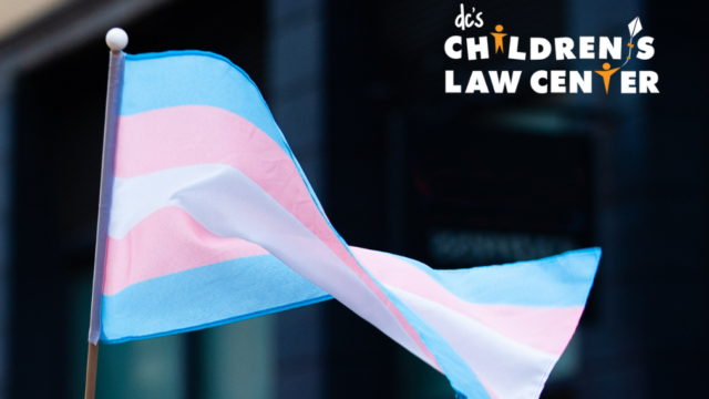 Trans pride flag waving in the wind