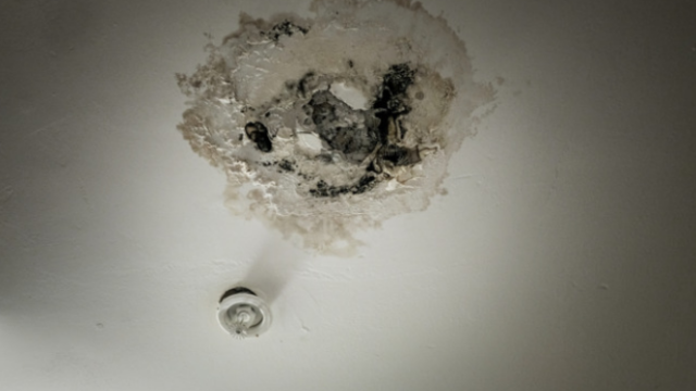 Photo of a ceiling with mold