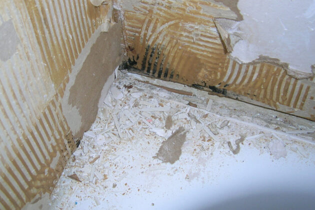 Photo of mold in home.