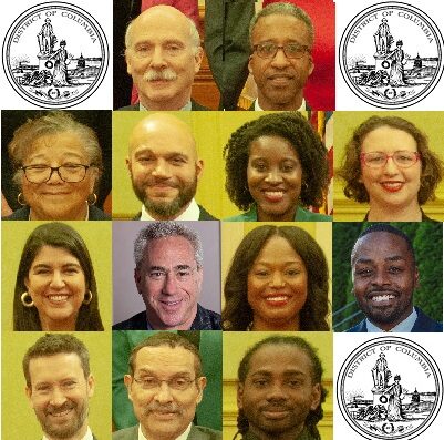 Thumbnails of DC Council members.