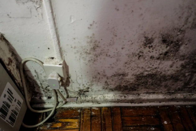 Photo of a home with mold hazards.